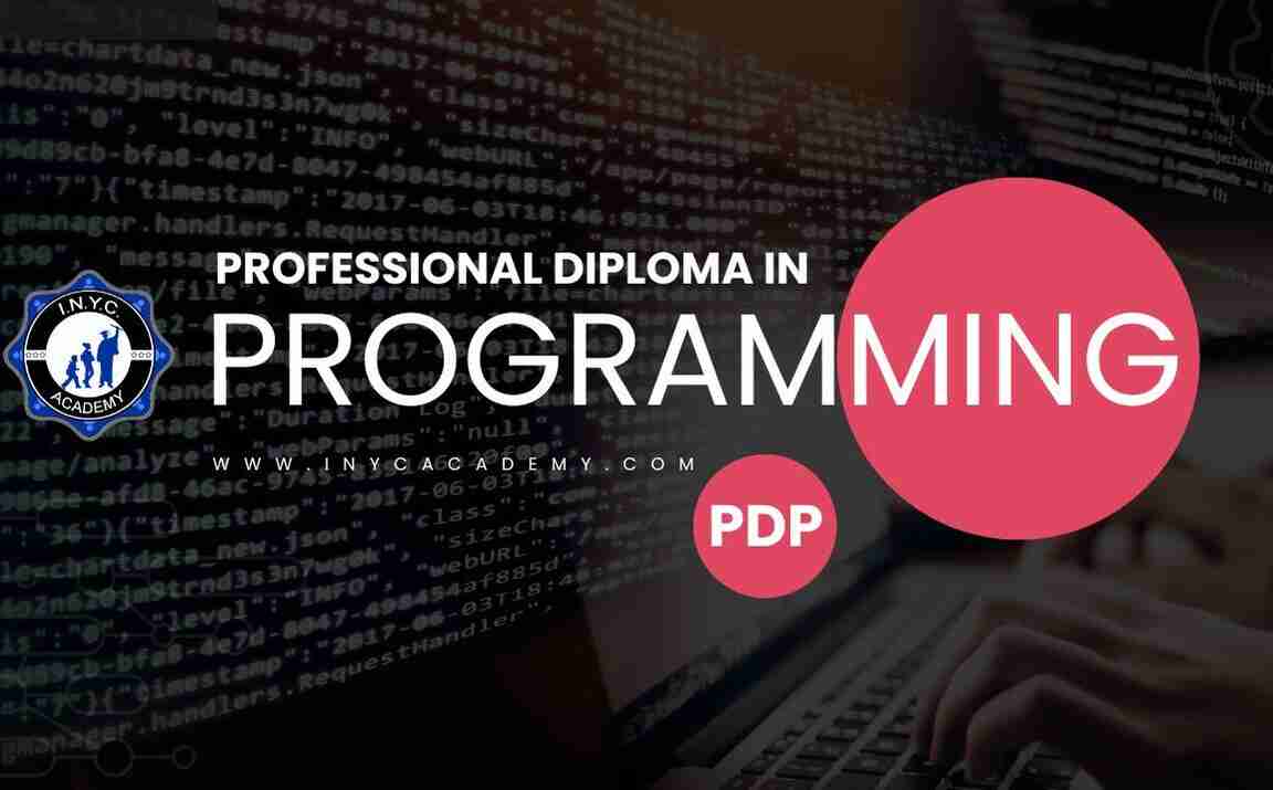 Professional Diploma in Programming