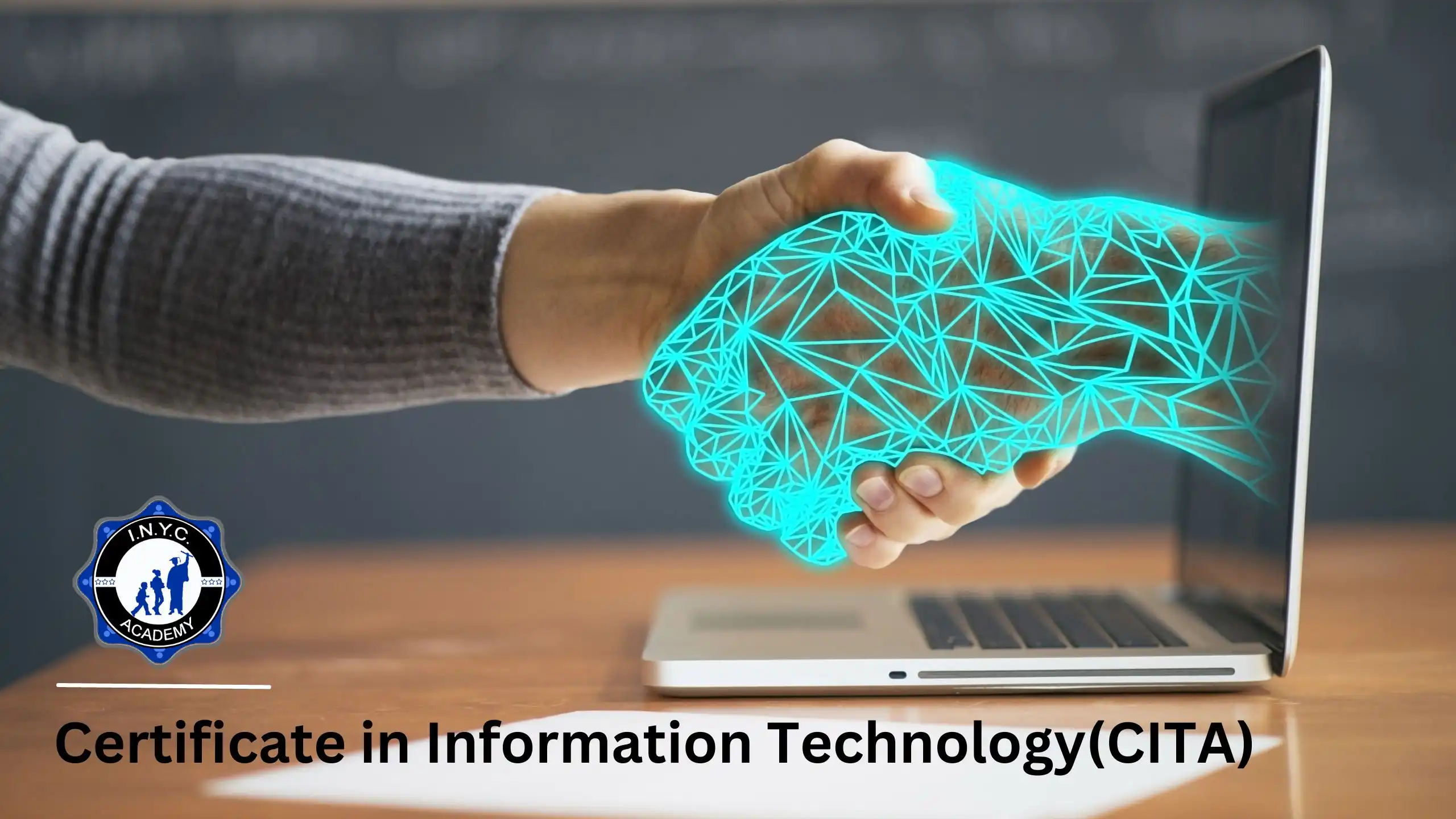 Certificate in Information Technology Application